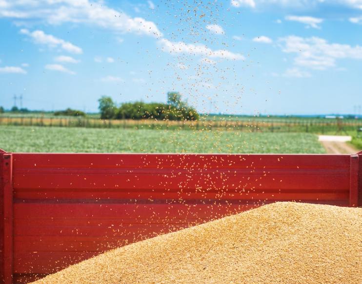 https://www.freepik.com/free-photo/tractor-trailer-full-wheat-seeds-field_11133935.htm#query=%D0%B7%D0%B5%D1%80%D0%BD%D0%BE%20%D0%BF%D0%BE%D0%B3%D1%80%D1%83%D0%B7%D0%BA%D0%B0&position=39&from_view=search&track=ais